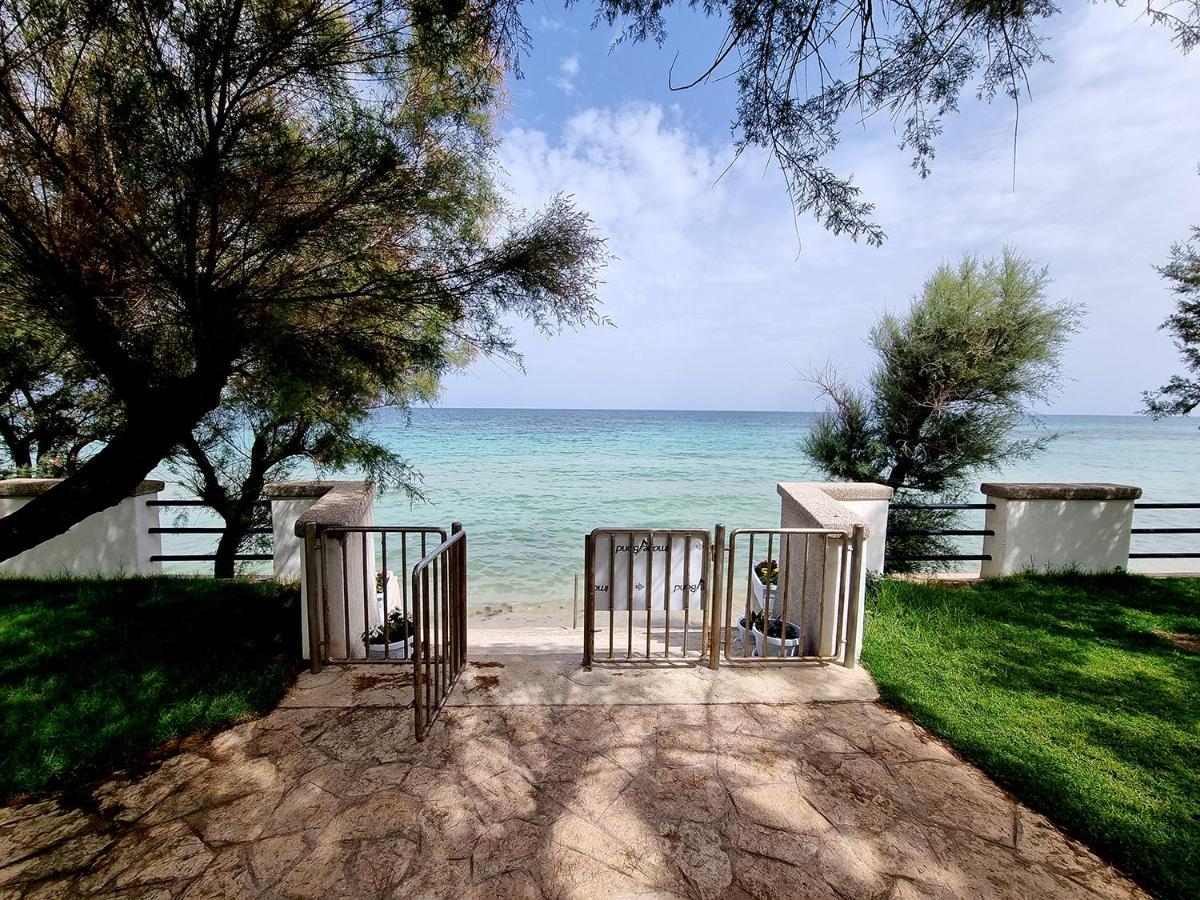 Bed and Breakfast Aurelia Sea View Torre Canne Exterior foto